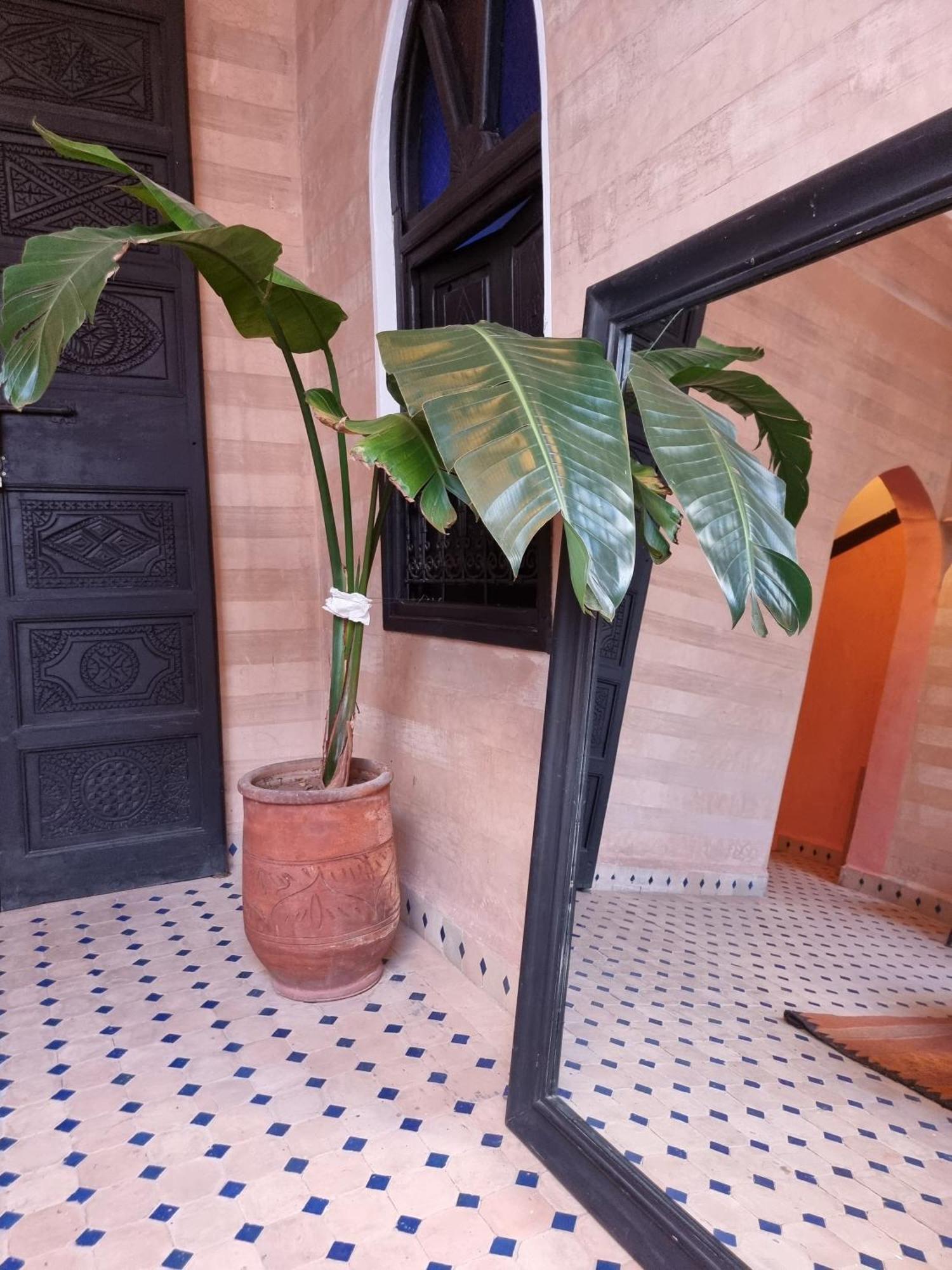 מרקש Riad Black Doors מראה חיצוני תמונה